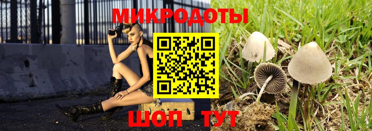 Фролово  Галлюциногенные грибы мухоморы  Вход с VPN  Псилоцибиновые грибы MAGIC MUSHROOMS 
