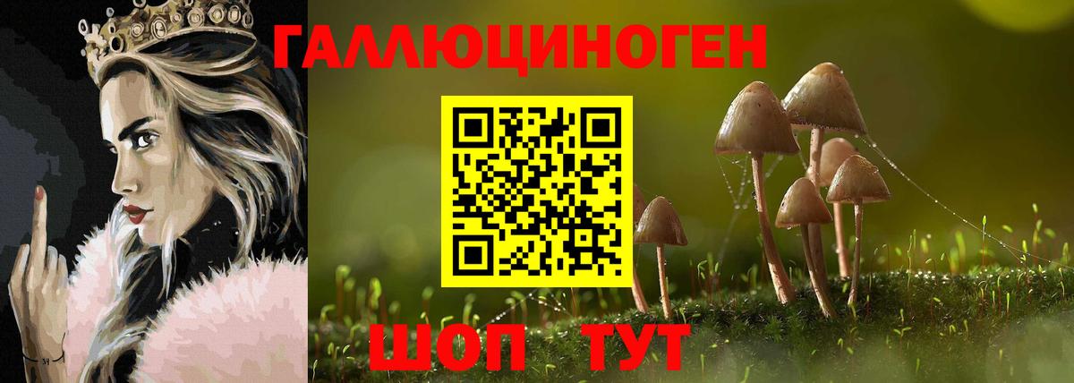 Псилоцибиновые грибы мицелий Фролово